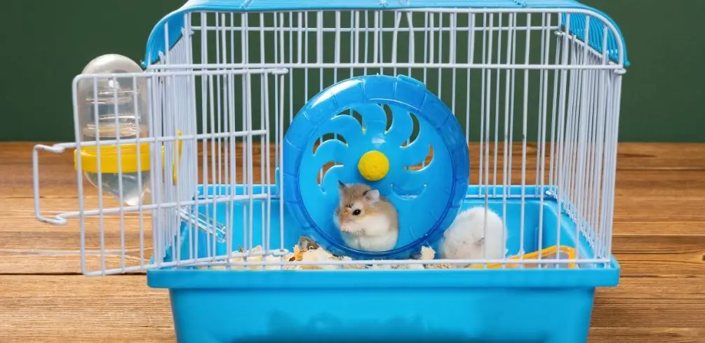 What To Do with An Old Hamster Cage